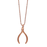 wishbone jewelry